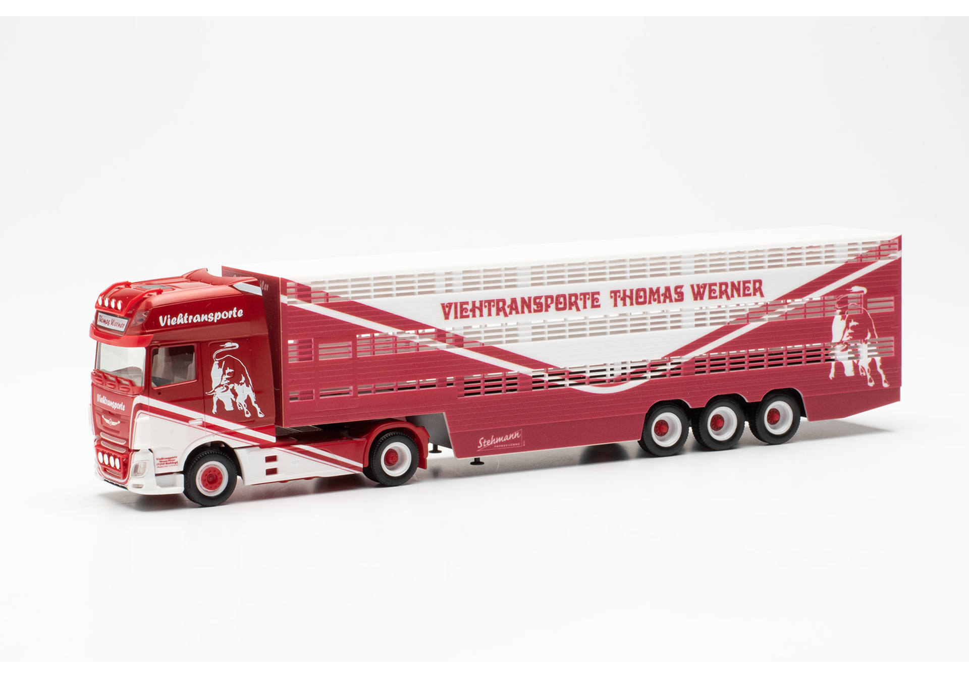 DAF XF SSC Viehtransporter-Sattelzug "Thomas Werner" (Mecklenburg-Vorpommern/Woldegk)