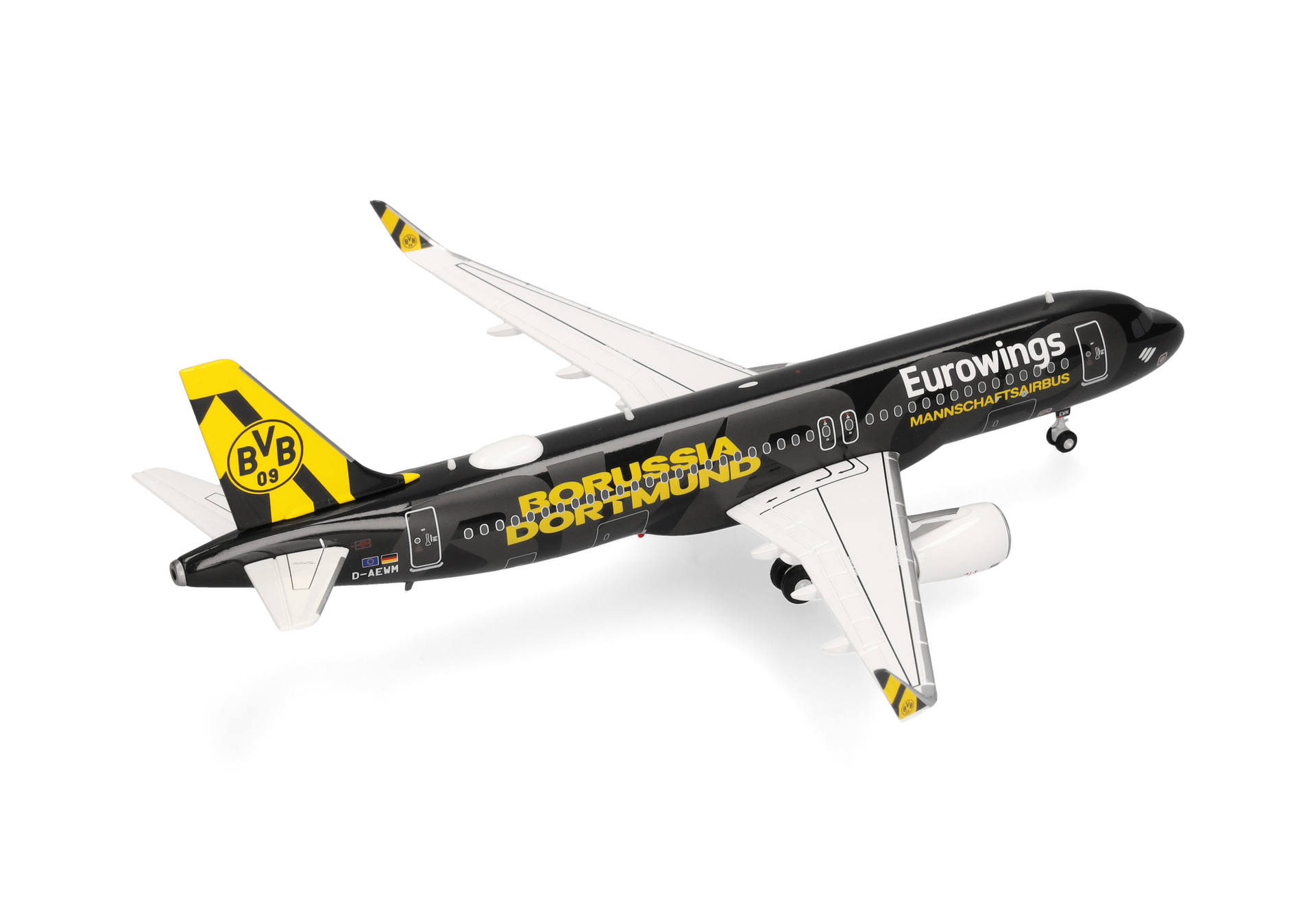 flugzeug, modellflugzeug, schwarze lackierung, gelbe akzente, BVB Borussia Dortmund